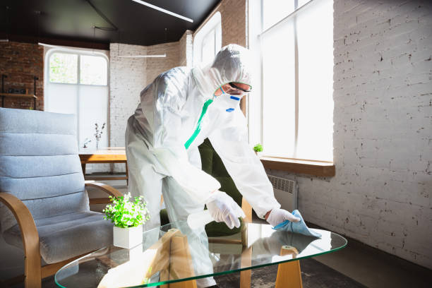 Best Mold Remediation for Rental Properties  in Stevenson, WA